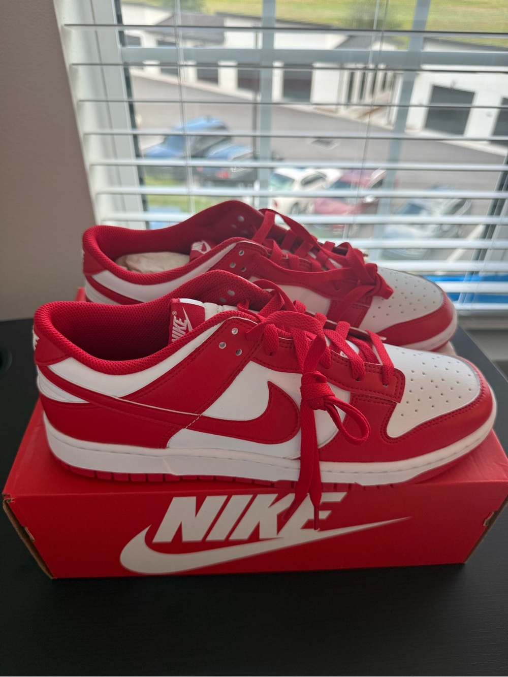 Nike Dunk Low St. Johns